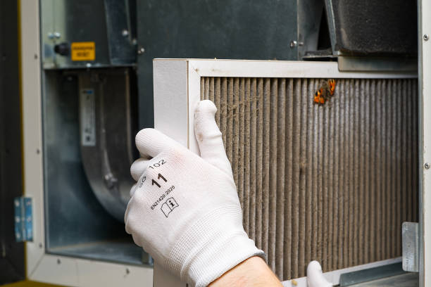 Best Dryer Vent Cleaning Services  in Wrightwood, CA